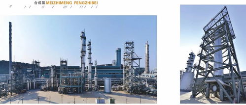 中國(guó)化工報(bào)聚焦四川美豐，一項(xiàng)關(guān)鍵工藝通過科技成果鑒定